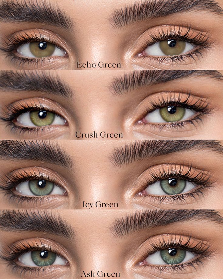 LENSES